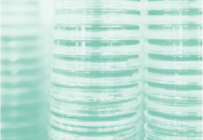 Labs Immunologie