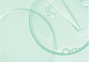 Labs Mikrobiologie
