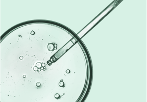Labs Parasitologie