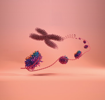 image Nu