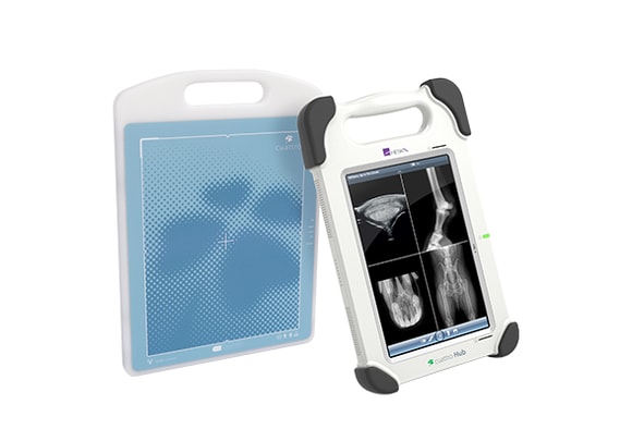 Cuattro DR HD Equine herolarge