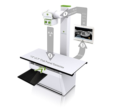image Cuattro%20DR%20HD%20Sedecal_secondary_3